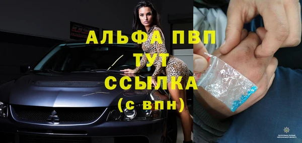 молекула духа Шарыпово