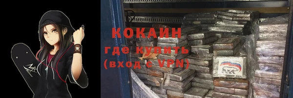 мдпв Шали