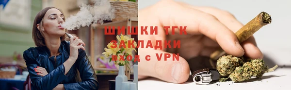 молекула духа Шарыпово