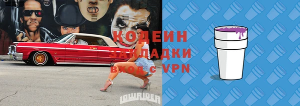 молекула духа Шарыпово